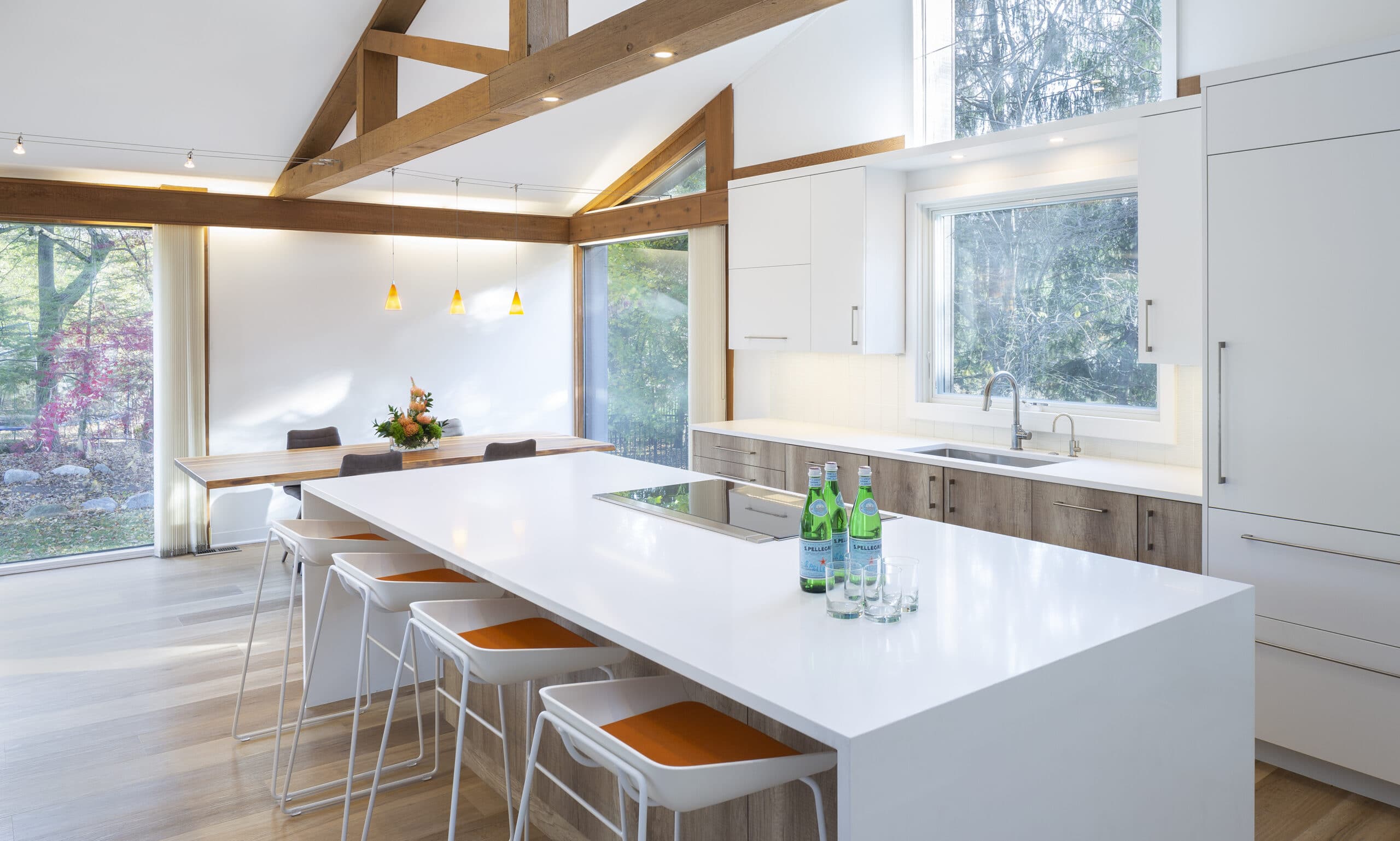 Mid Century Modern Kitchen Remodel Grand Rapids MI