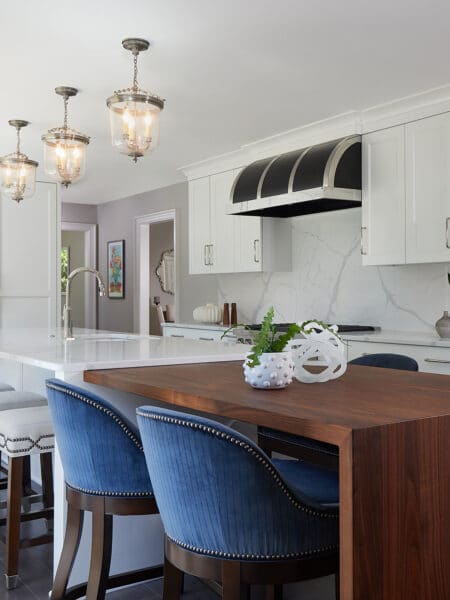 Dark to Light Remodel Transitional Kitchen