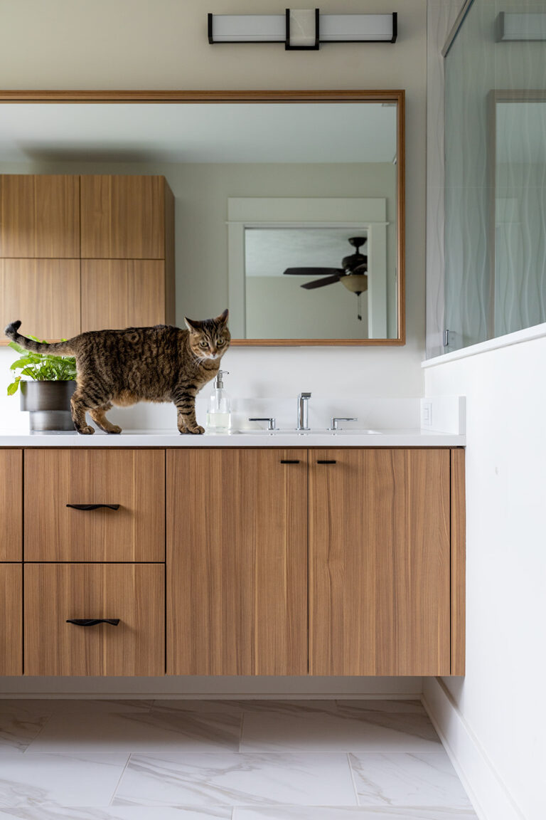 Contemporary Laminate Wood Look Slab Floating Bathroom Vanity Cat